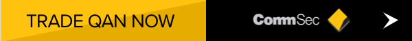 CommSec Logo